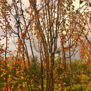 Meet your Posher, Natasha